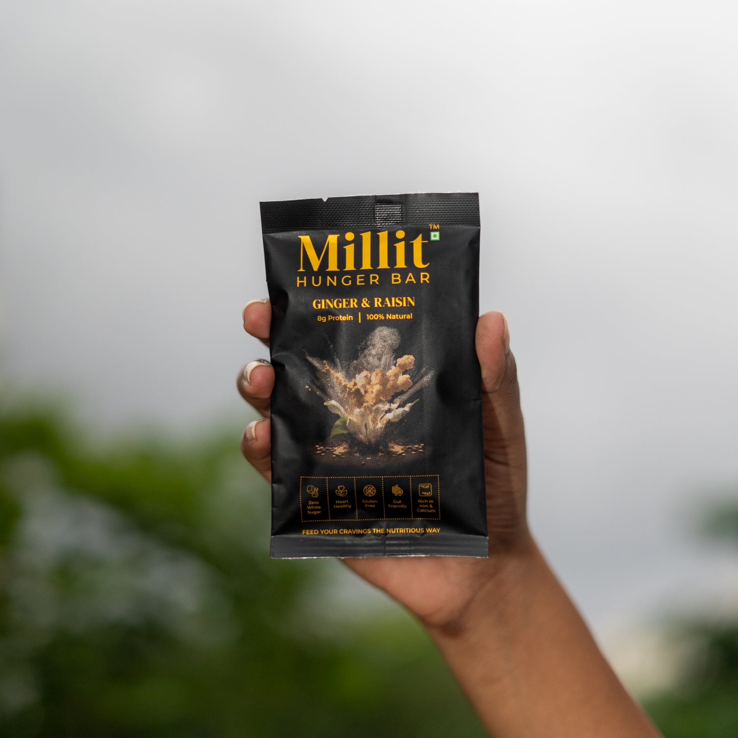 Ginger & Raisin - Millit Hunger Bar