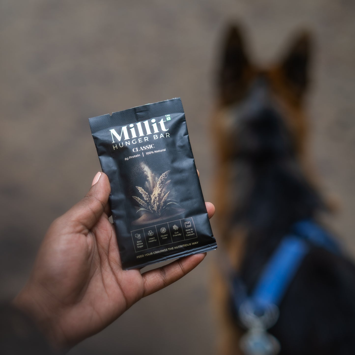 Classic - Millit Hunger Bar